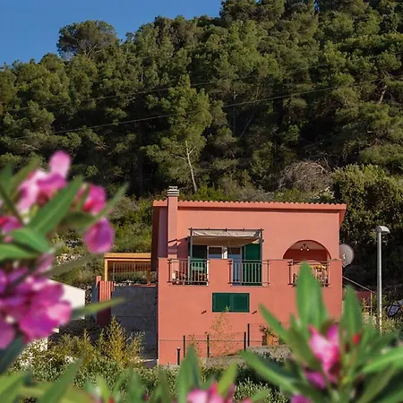 Delfin Holiday home *