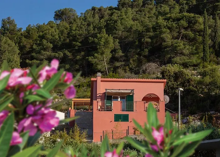 Delfin Casa vacanze *